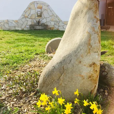 Bed & Breakfast Weingut Thomas Brandl 3*