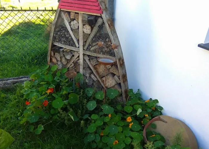 Bed and breakfast Weingut Thomas Brandl 3*