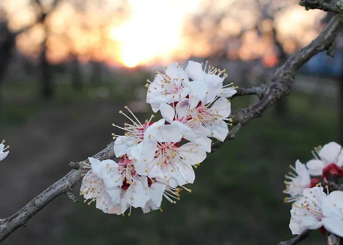 Weingut Thomas Brandl 3*