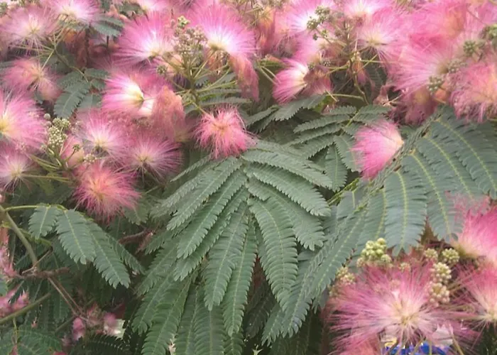 Weingut Thomas Brandl 3* Strass (Waldviertel)